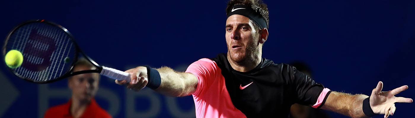 delpotro0405